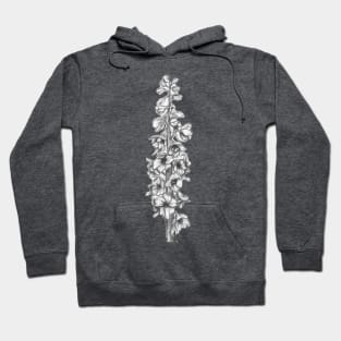 Larkspur Ilustration Hoodie